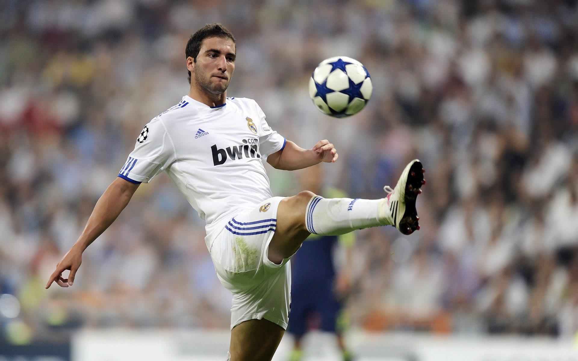 青年力量崛起，未来希望的火种！，何为青年力量